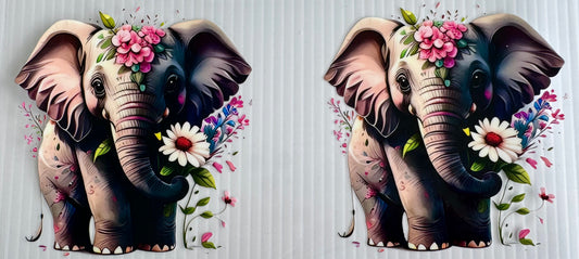 Elephants Wrap 2