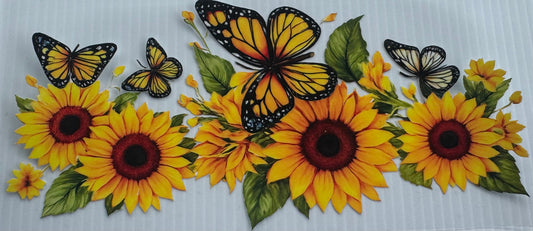 🐝 🦋 🌼  Wrap 11